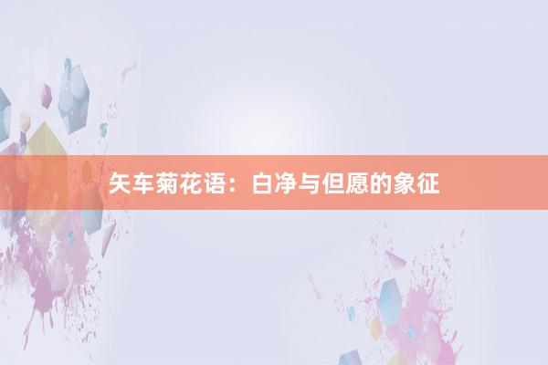 矢车菊花语：白净与但愿的象征