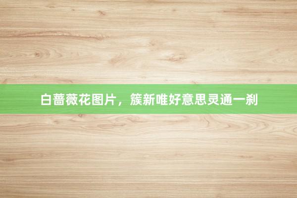 白蔷薇花图片，簇新唯好意思灵通一刹