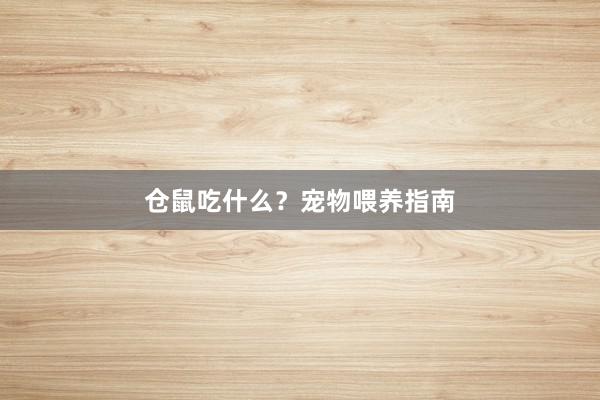 仓鼠吃什么?宠物喂养指南