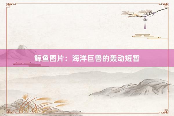 鲸鱼图片：海洋巨兽的轰动短暂