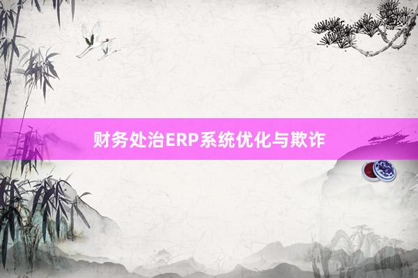 财务处治ERP系统优化与欺诈